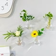 thumbnail image 5 of IMossad Transparent Hanging Vase – Wall-Mounted Fish Tank with Suction Cup for Flower Arrangements, 5 of 7