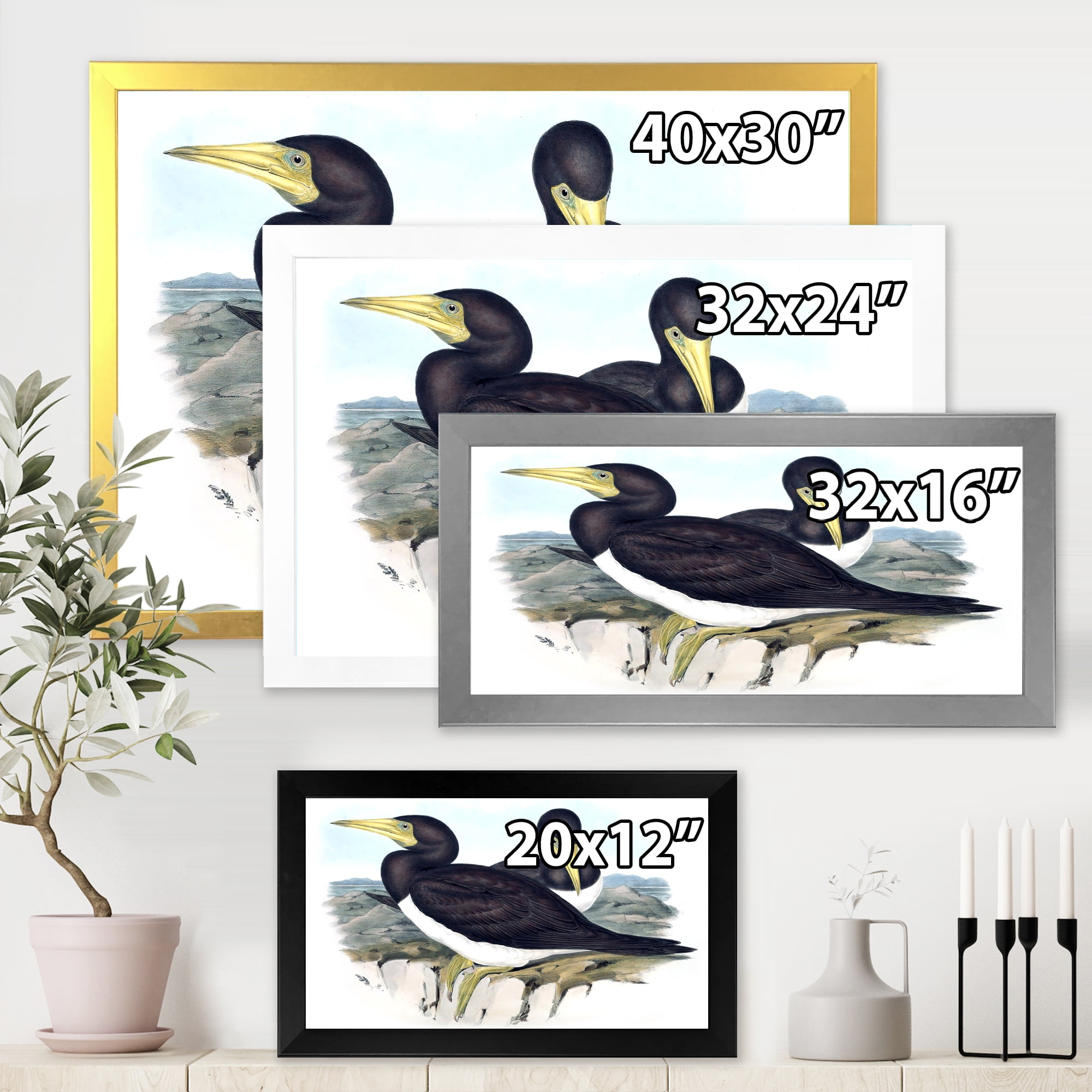 Designart 'Ancient Australian Birds XII' Traditional Framed Art Print