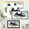 thumbnail image 4 of Designart 'Ancient Australian Birds XII' Traditional Framed Art Print, 4 of 4