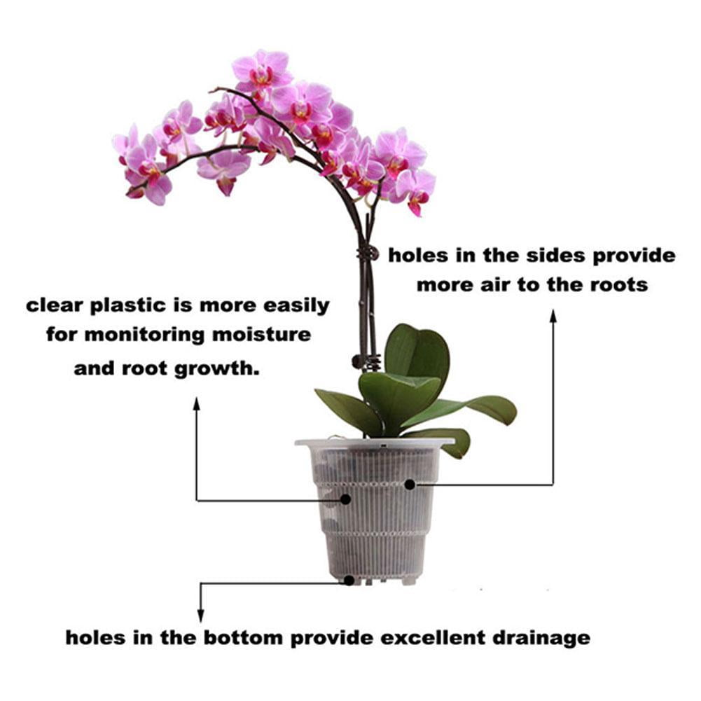 Pot D'orchidées Transparent Avec Trous, Pot De Fleurs En Plastique, Jardinière De Jardin