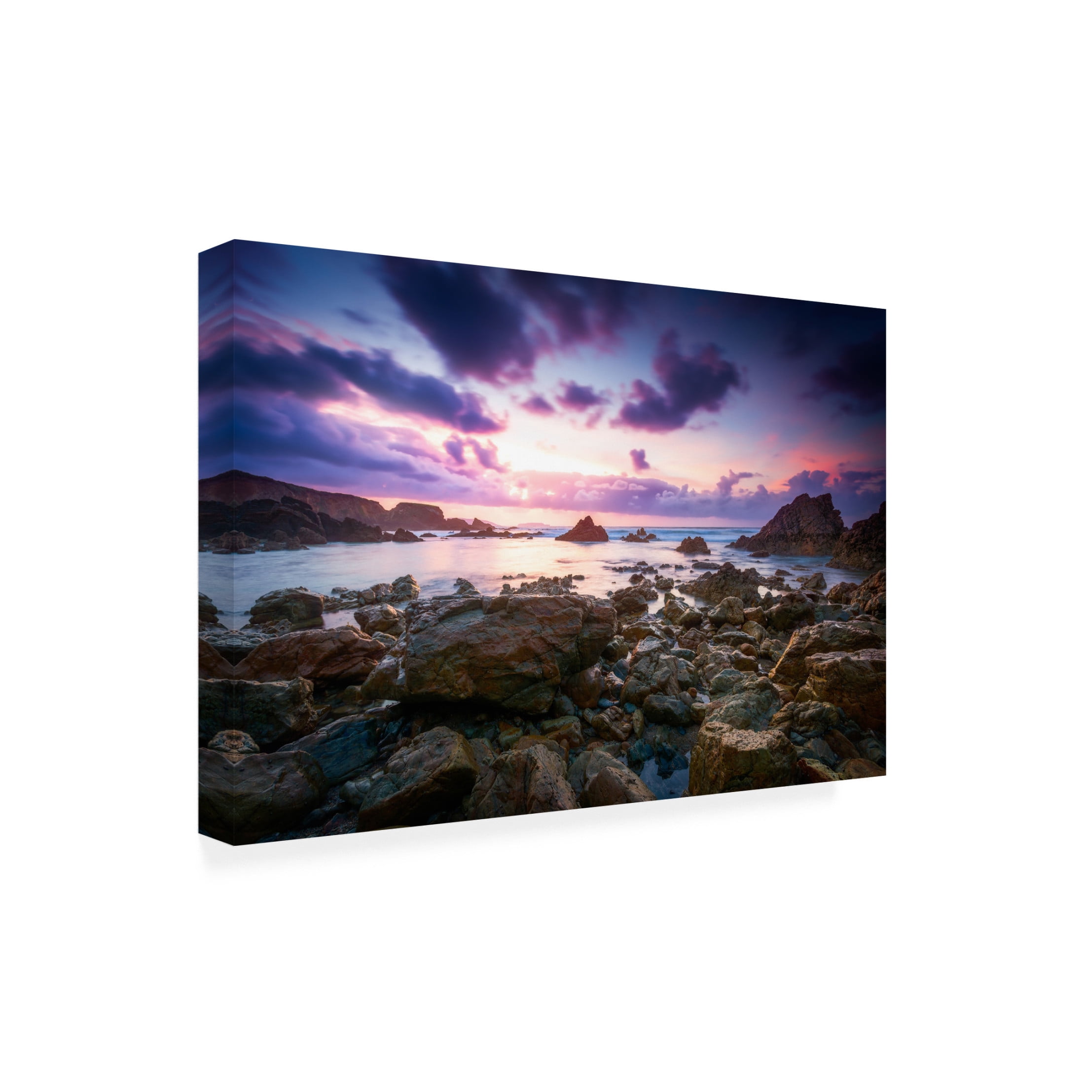 Canvas Wall Art - Roberto Rey 'Ultraviolet' Wall Art for Living Room, Bedroom, or Office D?cor by Trademark Fine Art - 32 x 22 Inches