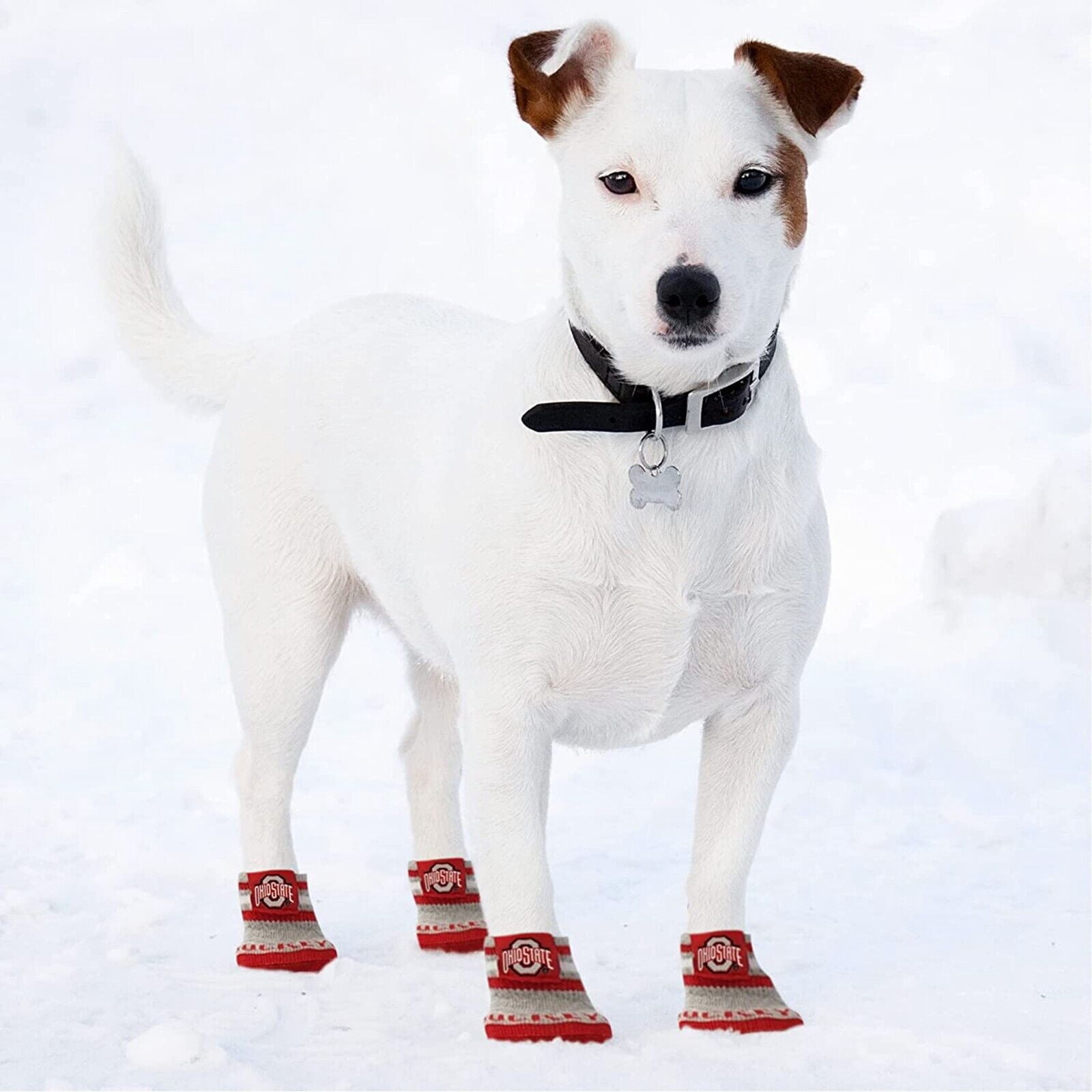 NCAA Anti Slip Dog Socks with Elastic Ribbed Top Indoor/Outdoor Paw Protection