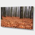 thumbnail image 2 of Forêt d'Automne Enchantée et Magique - Art sur Toile Forêt Moderne, 2 of 4