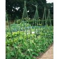 thumbnail image 4 of Ecostake Garden Stakes 5-Ft for Climbing Plants Supports Pole 10 Pack Rust-free Plant Sticks Fence Post, 4 of 7