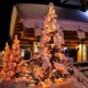 thumbnail image 5 of Juego de 2 luces solares navideñas de cadena, 200 LED, 72,2 pies, impermeables, 8 modos de luces solares para exteriores para jardín, patio, fiesta, árbol, boda, decoraciones navideñas, 5 of 5