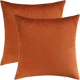 thumbnail image 1 of Cterwk - Funda de cojín cuadrada de terciopelo supersuave, decorativa, para cama, sofá, 61 x 61 cm, juego de 2, 1 of 8