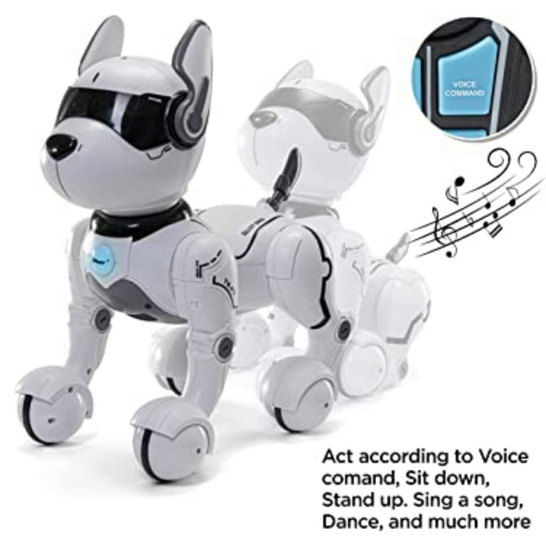 11 Best Robot Dog Toys For Kids In 2023