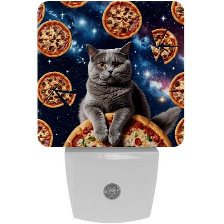 

Night Light Night Lights Plug into Wall 2-Pack Nightlight Plug in Night Light Dusk to Dawn Night Lamp Led Night Light for Adults Kids Room Milky Way Galaxy Cat Pizza Funny Animal