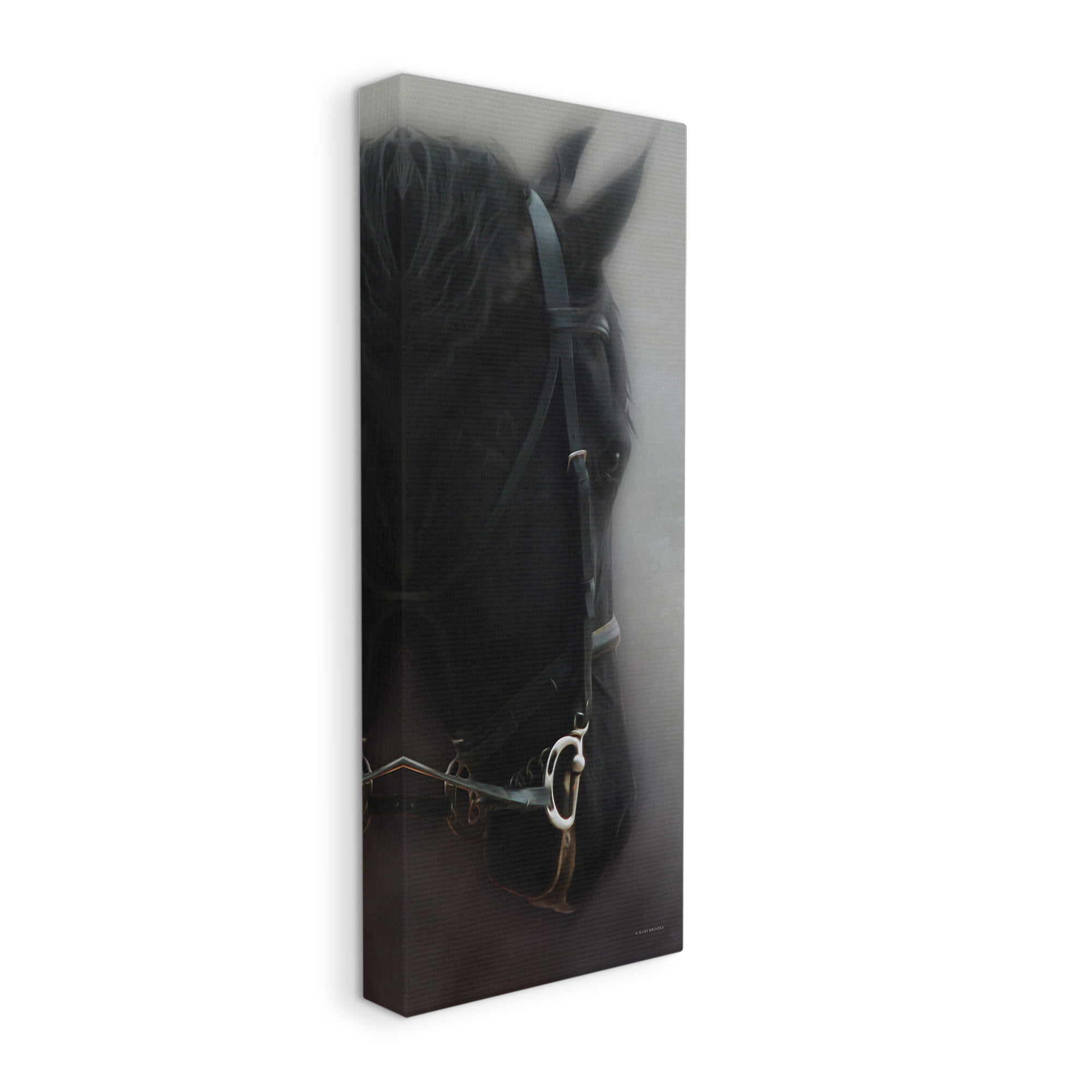 Stupell Industries Dim Black Horse Portrait Animals & Insects Painting Gallery Wrapped Canvas Art Print Wall Art, 10 x 24