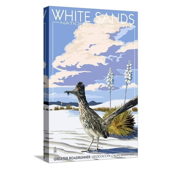Art.com White Sands National Monument, New Mexico - Roadrunner Stretched Canvas Print Wall Art by Lantern Press, 12" x 18"
