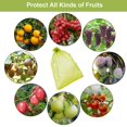 thumbnail image 5 of 30 bolsas de protección de uva de frutas, bolsas de organza de 30x40cm con cordón de malla fina para jardín, malla de insectos Afortunado Sencillez, 5 of 5