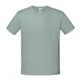 thumbnail image 1 of Fruit of the Loom T-Shirt Iconique Garçons/filles, 1 of 2