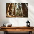 thumbnail image 2 of Elephant Stock Summer In Sequoia Park Wall Art - Horizontal Canvas Wall Art - Living Room Wall Decor - Floral And Botanical Canvas - Brown And Beige Decor - 24" x 16", 2 of 4