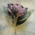 thumbnail image 2 of "Feelings" Painting Print on Wrapped Canvas, 2 of 7
