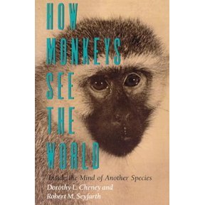 Pre-Owned How Monkeys See the World : Inside the Mind of Another Species (Paperback)