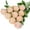 Blush Pink, variant on Princess Silk Rose Flowers Long Stem Artificial Melaleuca Rose Flower for Home Wedding Decor, Pack of 10 (Blush)
