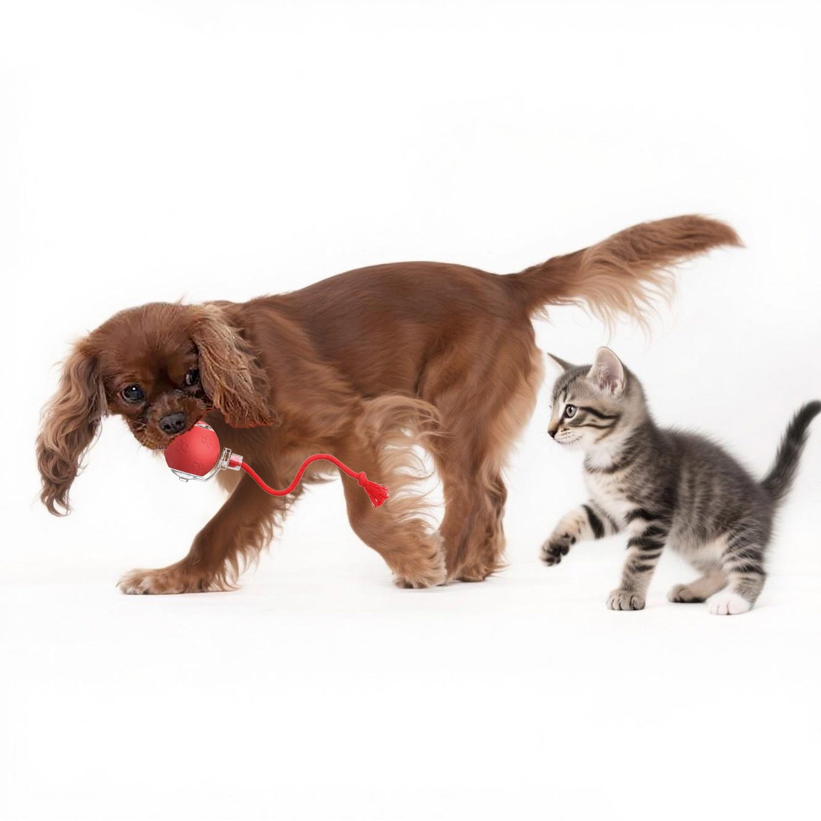 2025 Upgraded Interactive Cat Toy Ball - Fast Moving, Motion-Activated Rolling & Chirping Toy for Bored Indoor Cats & Kittens - Fun Automatic Pet Toy Gift for Adult Cats & Puppies