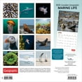 thumbnail image 2 of Canadian Geographic Marine Life | 2026 12x24" (Hanging) Square Wall Calendar, 2 of 9