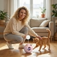 thumbnail image 4 of Football Shape Rotating Bubble Cube Pet Toy – Stress Relieving Puzzle Toy for Cats and Small Dogs，Pink, 4 of 6