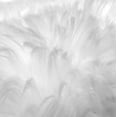 thumbnail image 4 of Faux Fur Rug Luxuriously Soft and Eco Friendly, White, 8' x 10', 4 of 4