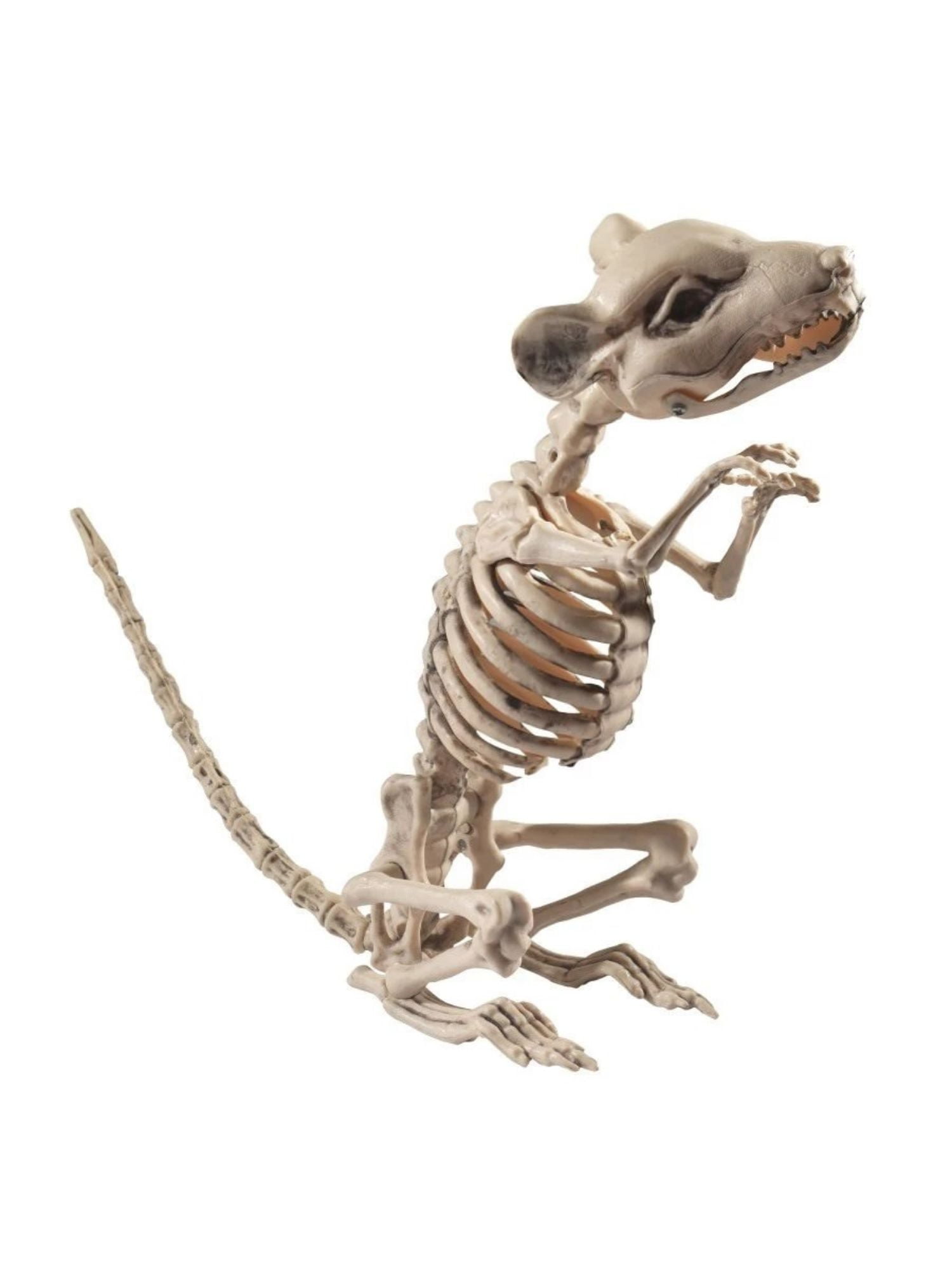 43" Ivory Rat Skeleton Prop Halloween Decoration