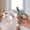 Green, variant on Nail for - Precision Grooming Scissors for Cats Dogs Round Hole Cleaning and Pet Nail Care Tools