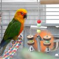 thumbnail image 2 of Large Stainless Steel Bird Toy, Bird Perch, Chewing Toy For Bird Toy, 2 of 8