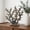 Multicolor, variant on Wooden Coral Tree Tabletop Sculpture, Mediterranean Coastal Home Decor Ocean Theme Retro Wood Carving for Living Room Shelf Housewarming Gift
