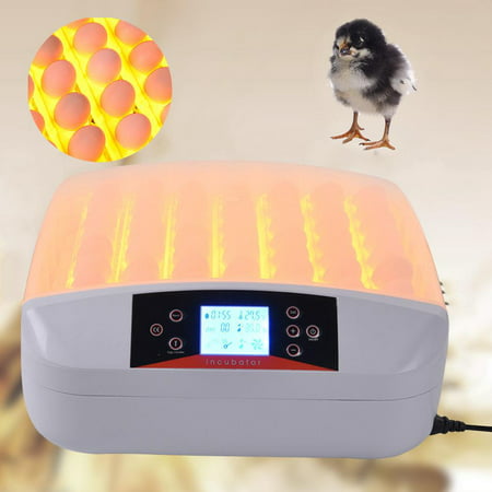 Ktaxon Automatic 56 Eggs Hatching Incubator with Egg Candler LED Light 110V for Chicken (Best Heating Element For Incubator)