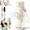 White, variant on 2-in-1 Water Bottle with Built-In Foldable Fan, Portable Dual-Drinking Cooling Water Bottle with Fan 3 Speeds USB-C,Leakproof Flip Lid Straw Cup for Office Travel Gym & Outdoor Sports