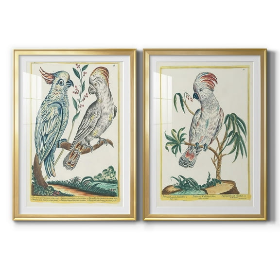 Wexford Home Pastel Birds I Premium Framed Print, 30.5" x 42.5" - Ready to Hang, Gold (Set of 2)