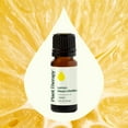 thumbnail image 3 of Plant Therapy Lemon Steam Distilled Essential Oil 10 mL (1/3 oz) 100% Pure, Undiluted, Natural Aromatherapy, 3 of 8