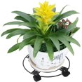 thumbnail image 4 of Plant Caddy - 33cm Round Metal Plant Pot Caddy, Plant Pot Trolley with Brake Wheel (2 Pack), 4 of 5