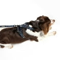 thumbnail image 3 of DOOG Neotech Dog Harness Extra Large Navy, 3 of 3