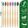thumbnail image 4 of Mistayd Biodegradable Bamboo Toothbrushes. 10 Piece BPA Free Soft Bristles Toothbrushes. Natural. Eco-Friendly. Green and Compostable (Multicolored Bristles), 4 of 5