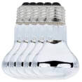 thumbnail image 1 of Bombillas para Reptiles RadiGlowTransparent 5Pzas 220V 100W 60Hz 3000hr Rosca E27 Luz Diurna., 1 of 1