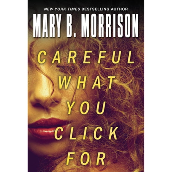 Pre-Owned Careful What You Click for (Paperback) by Mary B Morrison
