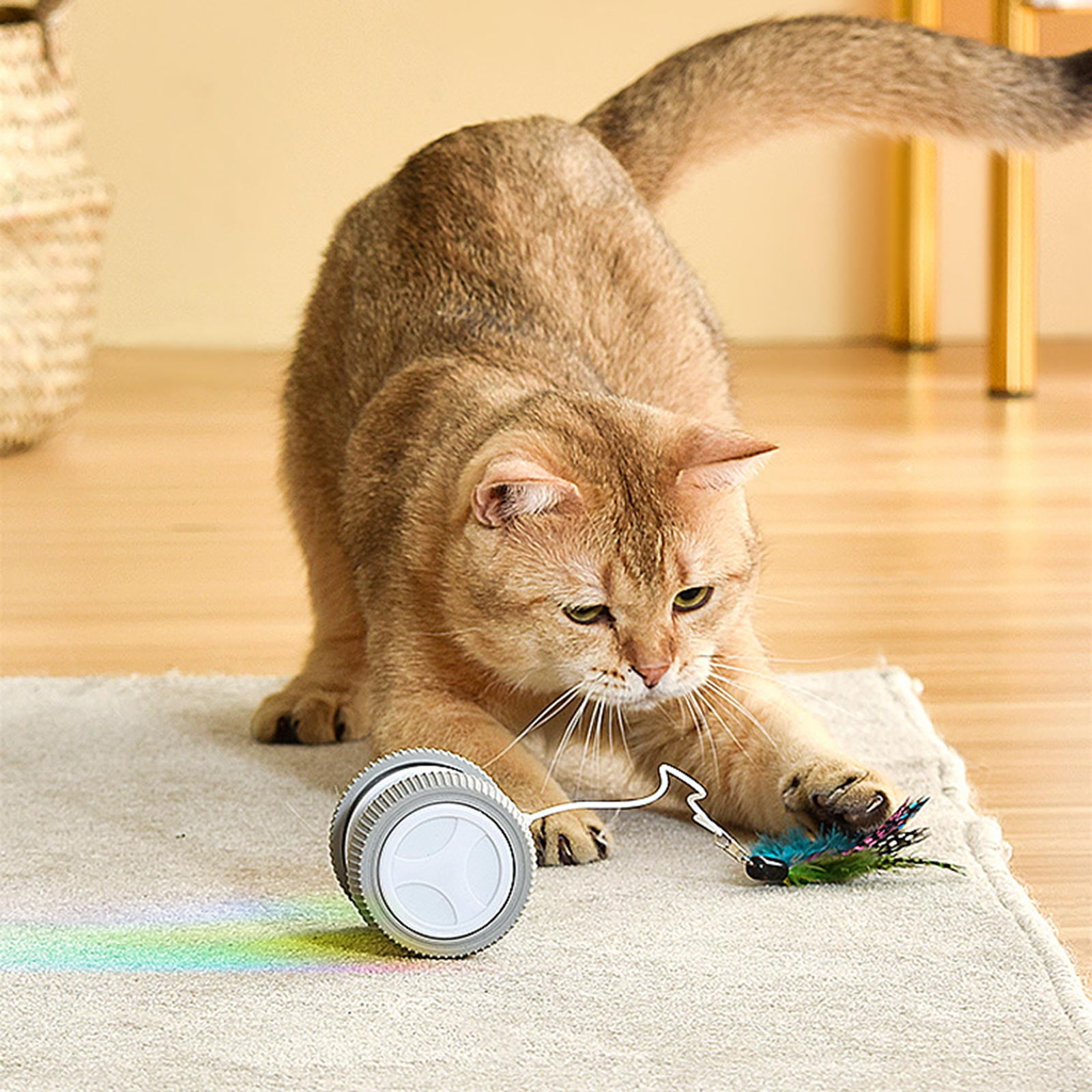 lanema Interactive for Cat Toy Automatic Roller with Feather for Kitten Hunting Simulat