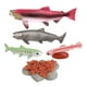 thumbnail image 5 of Conjunto de modelos  Juguete de salmón Colección de juguetes educativos para niños - Salmón Hugo Juego de crecimiento de tortugas marinas, 5 of 10