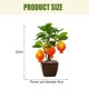 thumbnail image 2 of Bonsái de frutas, pequeños adornos creativos, decoraciones de flores de simulación, plantas verdes de simulación, 2 of 5