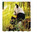 thumbnail image 3 of Ambesonne Animal Shower Curtain, Panda Sitting in Forest, 69"Wx84"L, Black Green, 3 of 5
