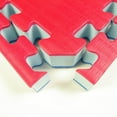 Greatmats BJJ MMA 2x2 Ft x 1.5 Inch EVA Foam Tiles, Red/Blue 10 pack