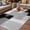 Black, variant on Red Grey Outdoor Rug for Patio/Deck/Porch, Non-Slip Large Area Rug 5 x 8 Ft, Abstract Geometric Color Block Oil Painting Indoor Outdoor Rugs Washable Area Rugs, Reversible Camping Rug Carpet Runner