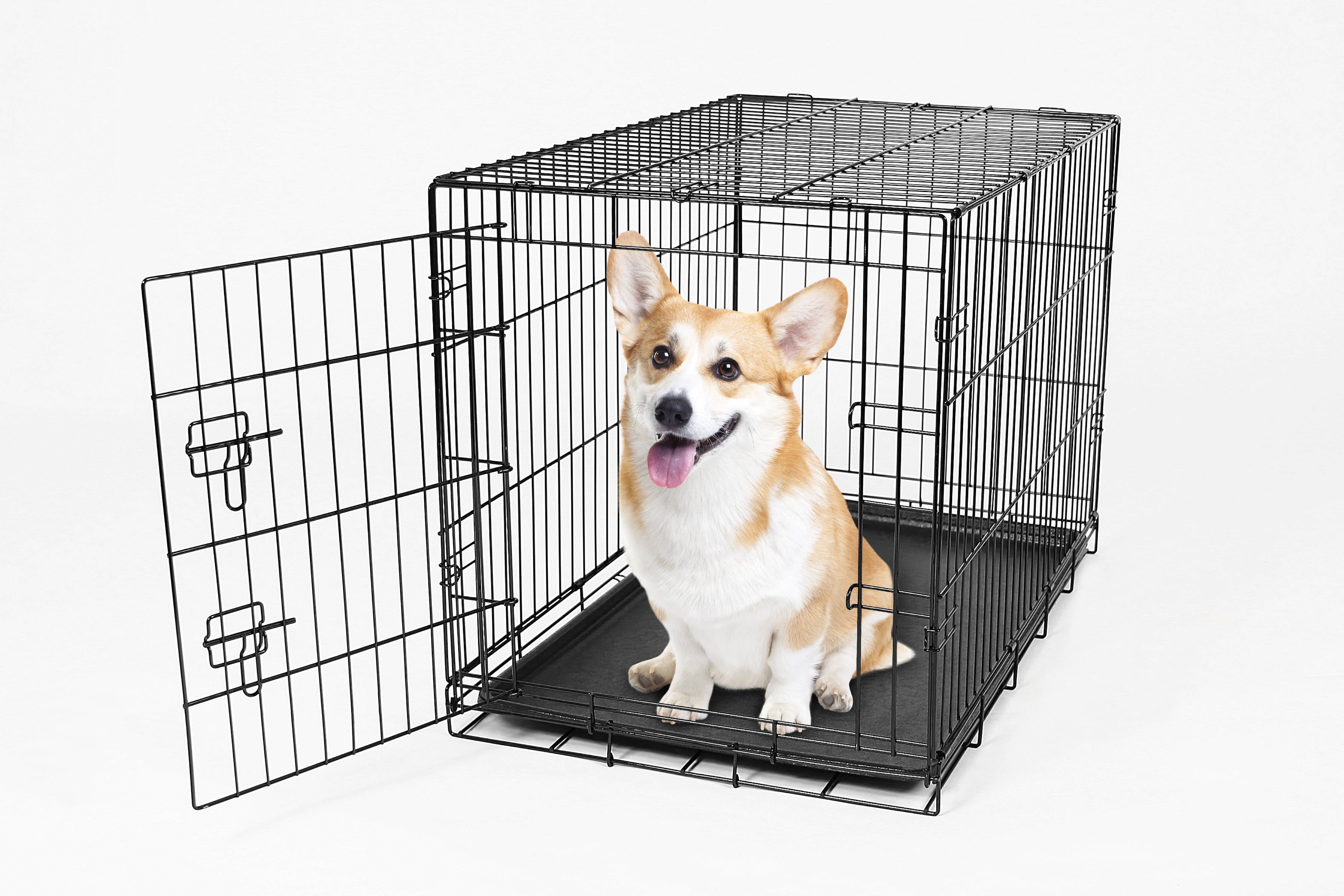 Carlson Pet Products Secure and Foldable Single Door Metal Dog Crate 