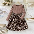 thumbnail image 2 of BOBOGOJP Kids Girls Rib Knit Long Sleeve Bodice Leopard Print Princess Party Dress Autumn Winter Dress Age 7-12 Years Pink for Size 10 Years, 2 of 4