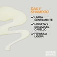 thumbnail image 3 of REDKEN BREWS - Shampoo Daily Redken Brews |Shampoo limpiador ligero e hidratante para todo tipo de cabello | Formulado para nutrir, acondicionar y fortalecer el cabello |Para hombre | 300ml, 3 of 4