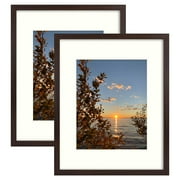 Golden State Art, 16x20 Picture Frames with Mat for 11x14 or 16x20 Picture Collage Gallery Wall Frame with Real Glass, Brown, 2 Pack