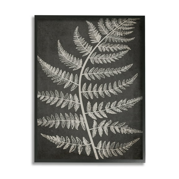 Stupell Industries Woodland Fern Outline Botanical & Floral Painting Black Framed Art Print Wall Art, 11 x 14