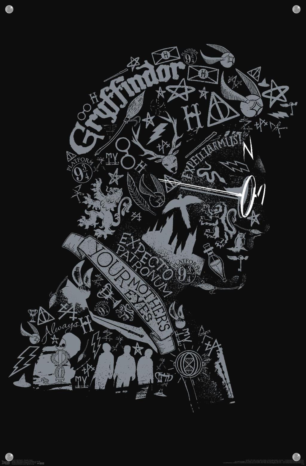 The Wizarding World: Harry Potter - Text Graphic of Harry Potter Wall Poster with Push Pins, 14.725" x 22.375"