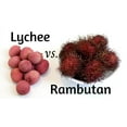 thumbnail image 6 of Fresh Lychees, Each, 6 of 9